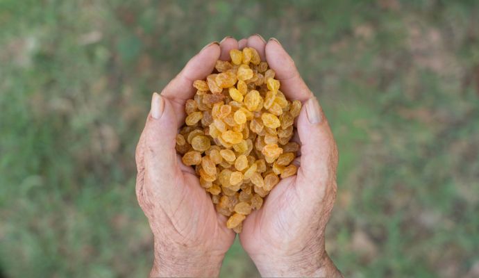 uvetta gialla uva golden